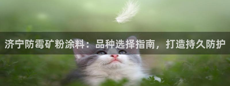 5爱游戏平台