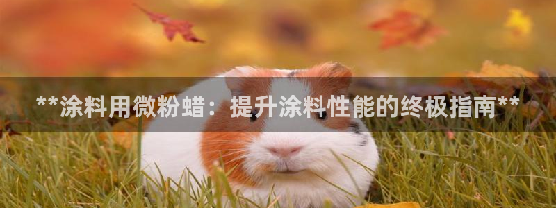 爱游戏全站app官网入口