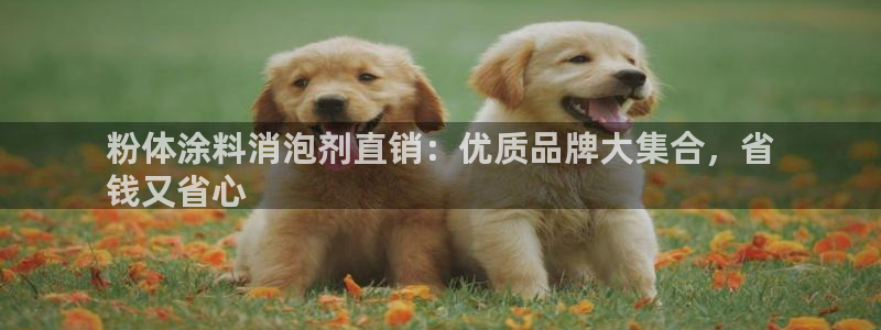 ayx爱游戏官网2020