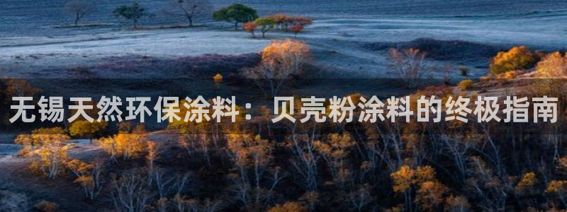 爱游戏官网平台