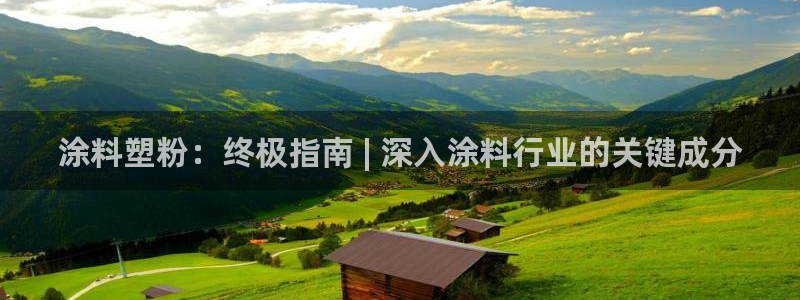 爱游戏百家网站官网
