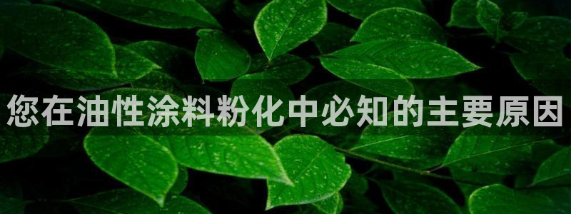 爱游戏棋牌官网