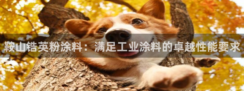爱游戏官网最新版
