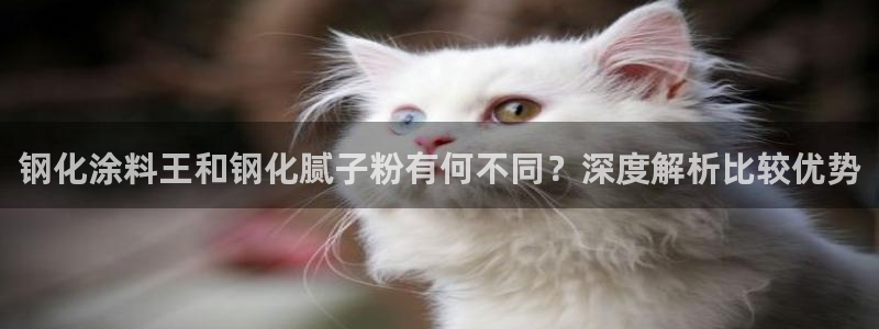 爱游戏平台在哪