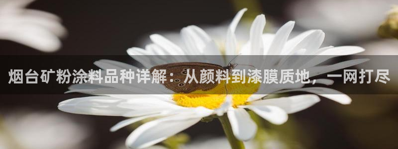 ayx爱游戏官方app平台
