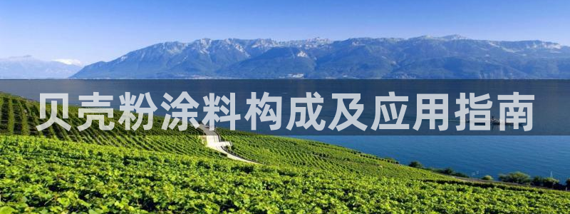 爱游戏电子官网