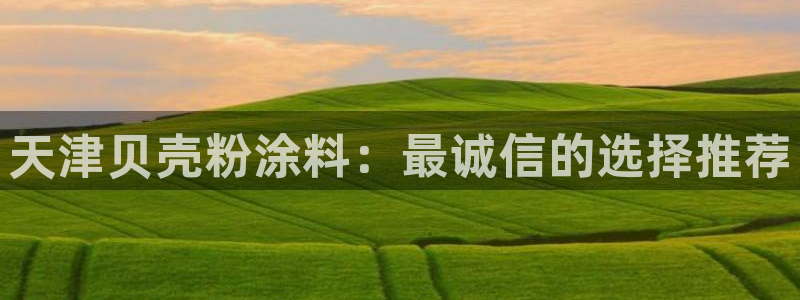 爱游戏网站平台