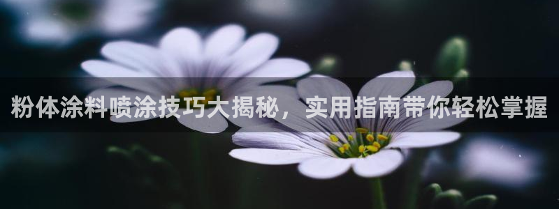 爱游戏手机官网