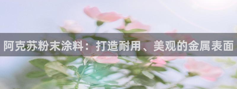 ayx爱游戏官网平台