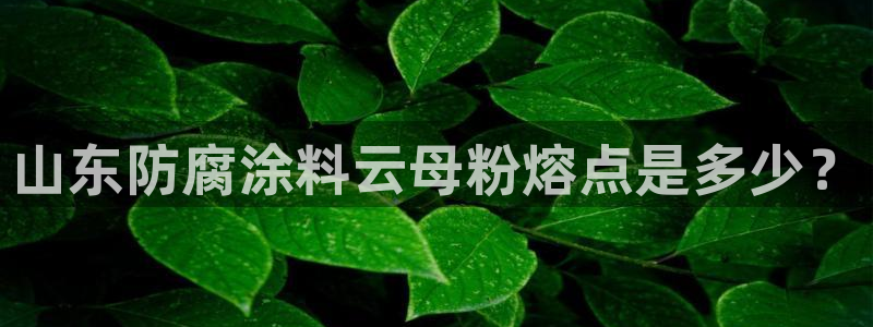 爱游戏h5游戏平台