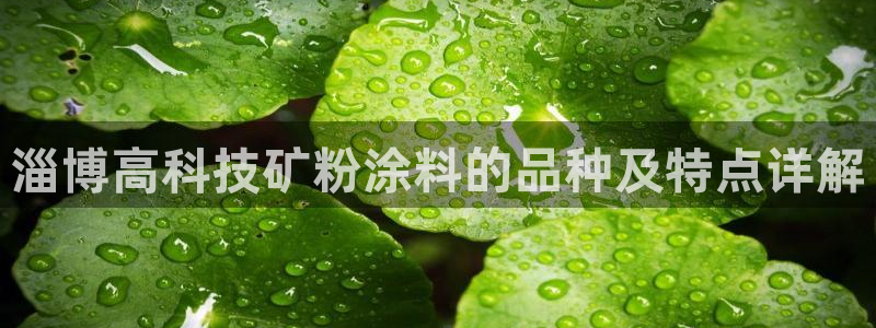 爱游戏app官方入口最新版