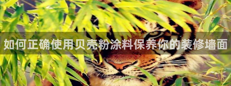 爱游戏官网客户端手机版