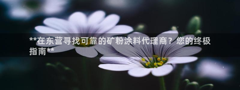 爱游戏app官网有实力04