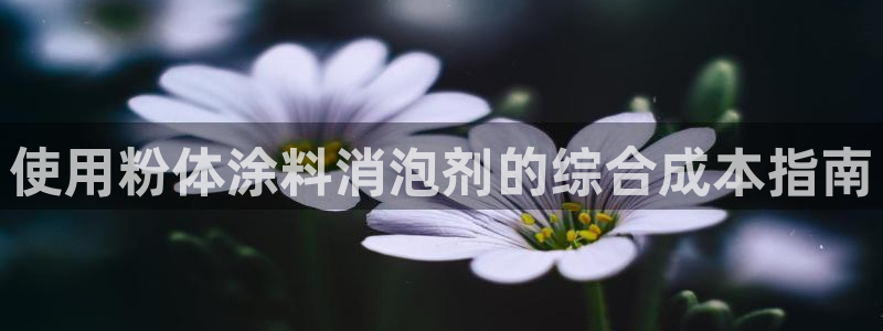 爱游戏open平台