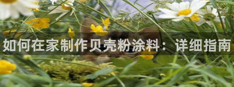 ayx爱游戏app下载官网