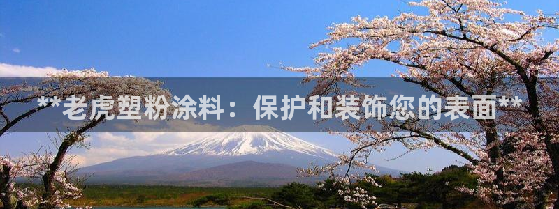91爱游戏官网