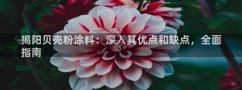 爱游戏平台信誉好