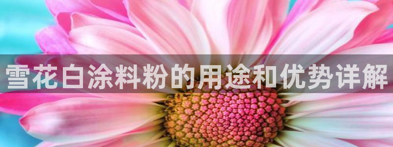 爱游戏平台官方