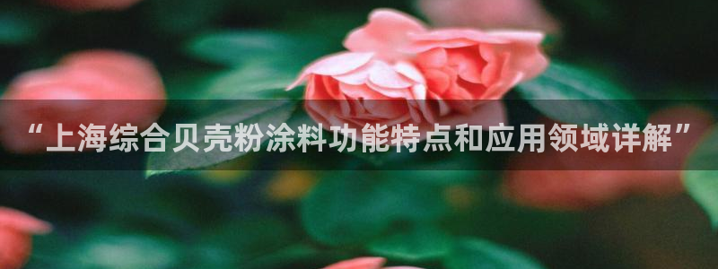 爱游戏app官网有实力0