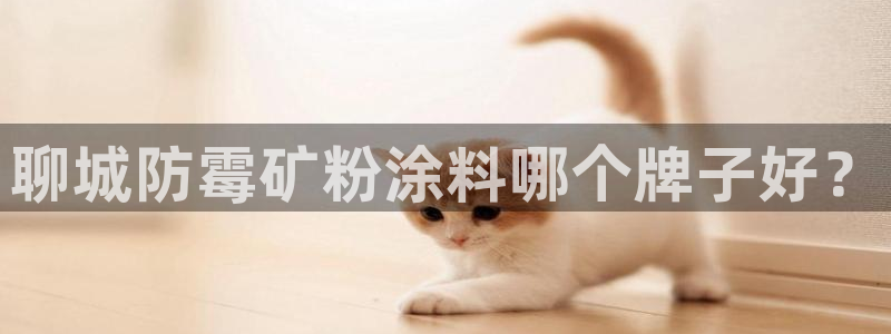 爱游戏官网登录在线入口：聊城防霉矿粉涂料