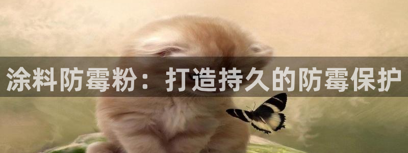 爱游戏官网赞助意甲2019：涂料防霉粉：