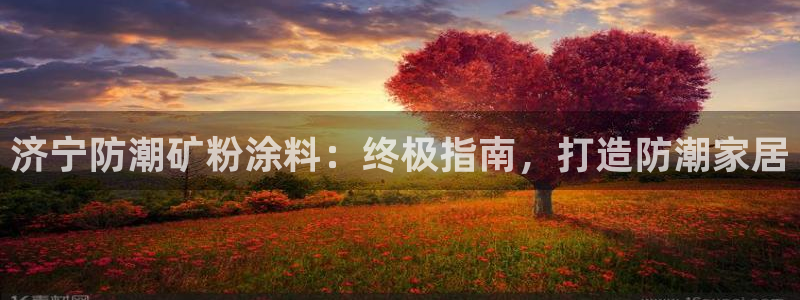 爱游戏app官网有实力06
