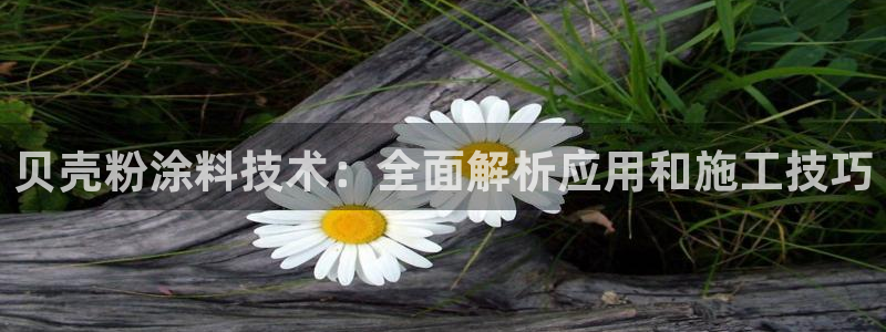 爱游戏官网平台：贝壳粉涂料技术：全面解析