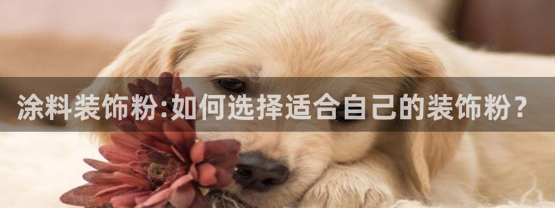 爱游戏官网app登陆入口