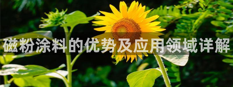 爱游戏官网登录入口国际开户：磁粉涂料的优