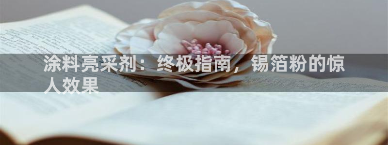 爱游戏电竞官网入口