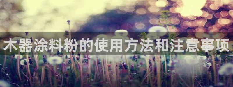 ayx爱游戏平台注册：木器涂料粉的使用方