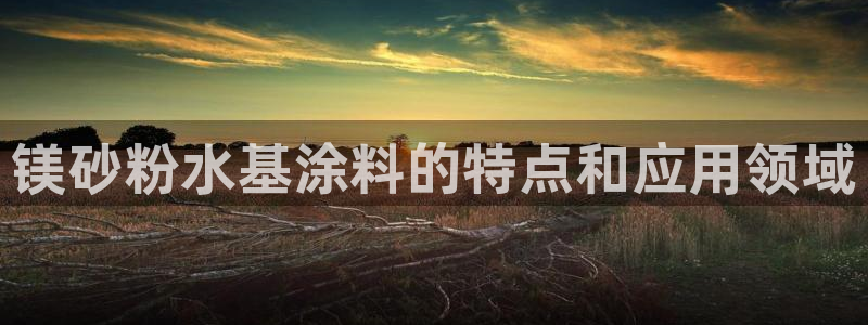 爱游戏app官网有实力05