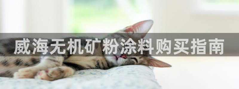 爱游戏网页版官方入口官网：威海无机矿粉涂