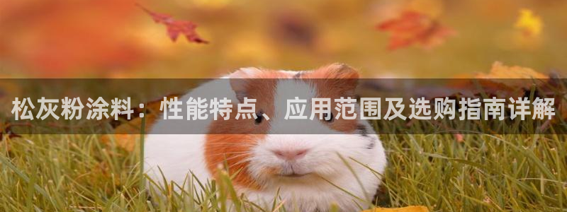 ayx爱游戏全站app官网入口