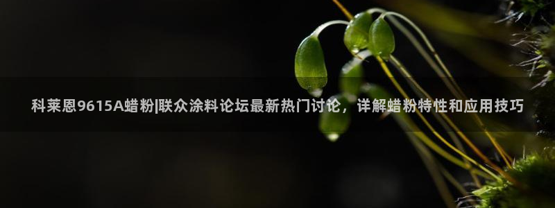 爱游戏全站官网入口