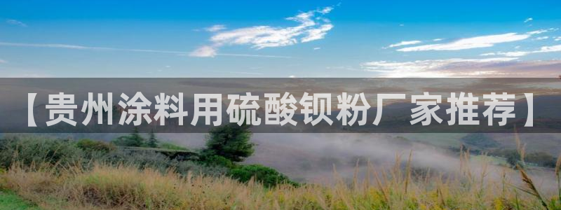 ayx爱游戏app平台：【贵州涂料用硫酸