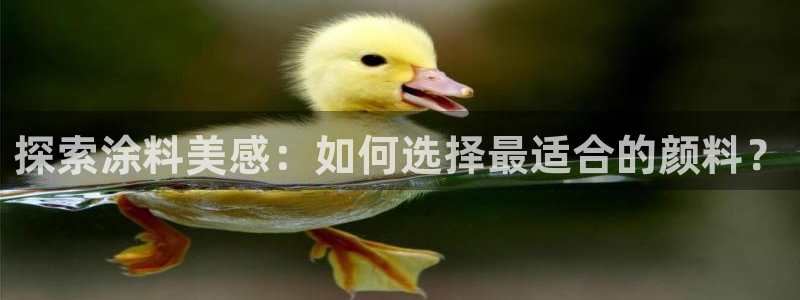 爱游戏官网最新版