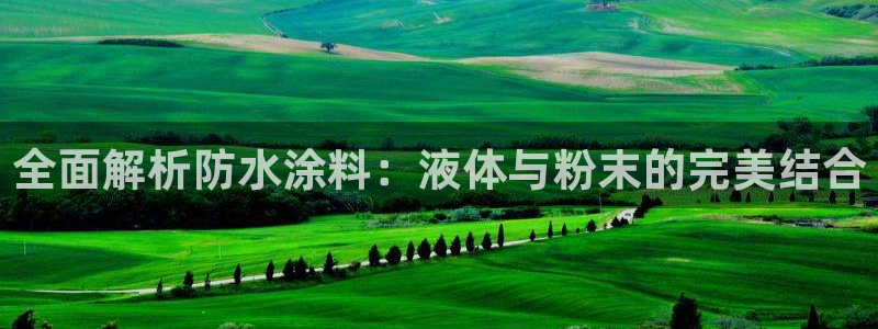 爱游戏官网手机