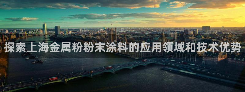 爱游戏平台有哪些：探索上海金属粉粉末涂料