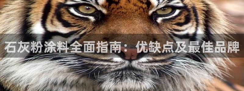 ayx爱游戏官方app平台