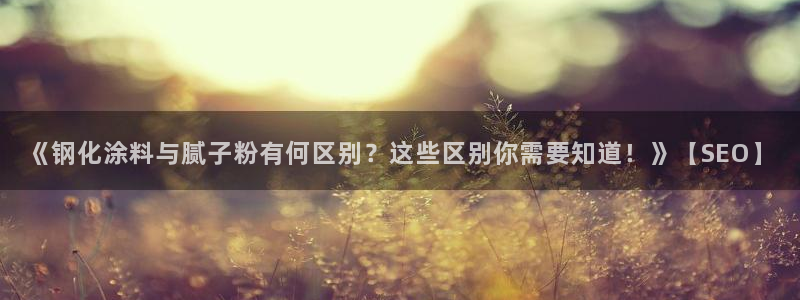爱游戏百家网站官网：《钢化涂料与腻子粉有