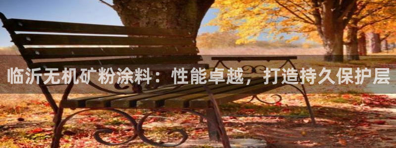 爱游戏app官网有实力06：临沂无机矿粉