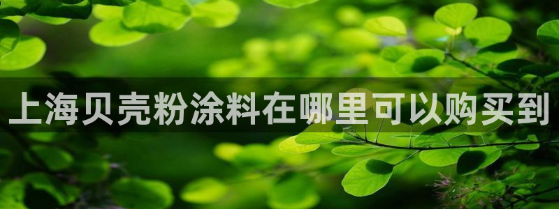 爱游戏平台app：上海贝壳粉涂料在哪里可